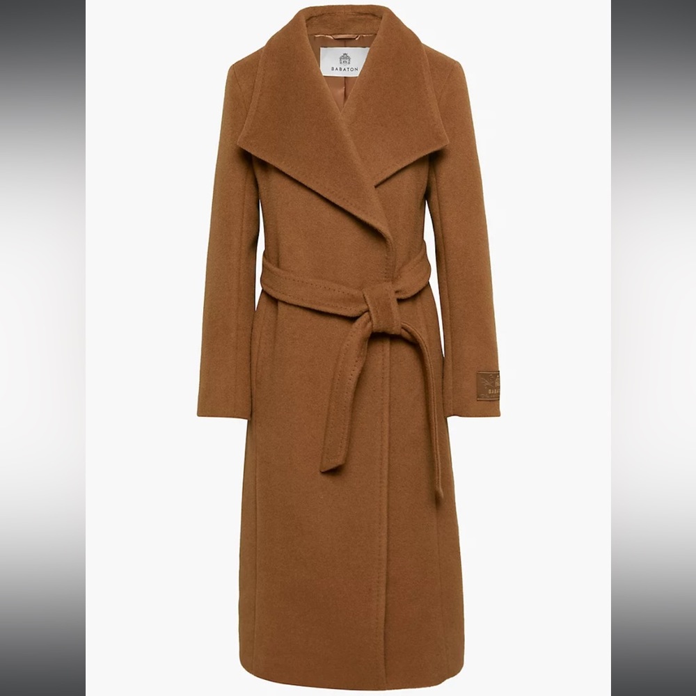 Aritizia babaton montage coat